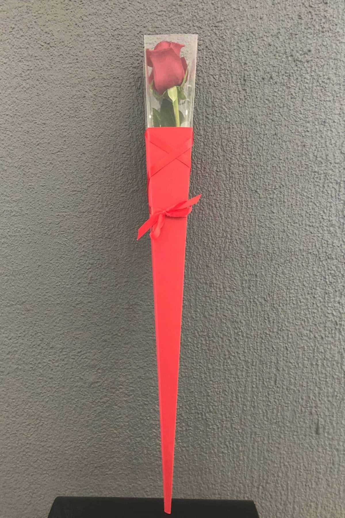 Single Long Stem Red Rose