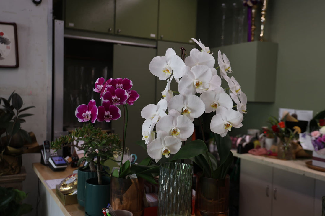 Mater Private Hospital Florist