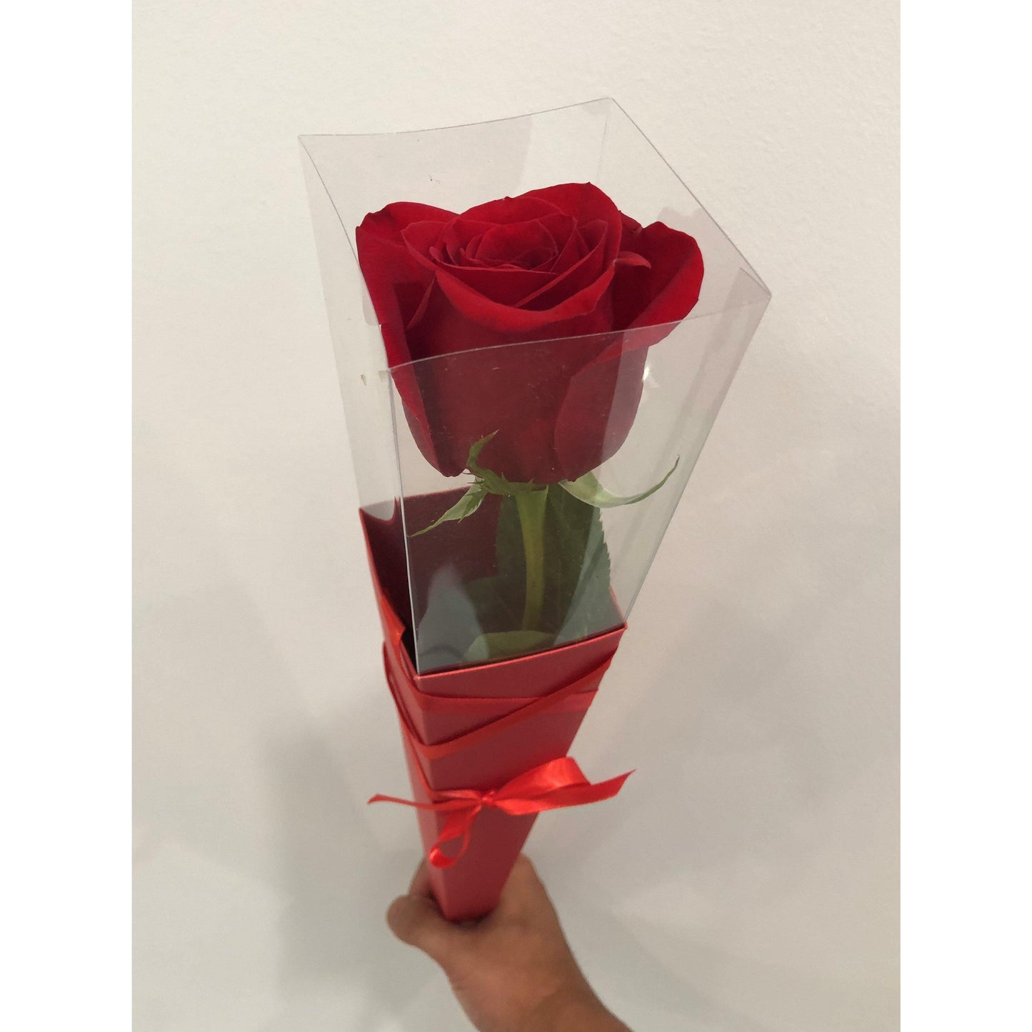 Single Stem Red Rose - Spring Hill Florist