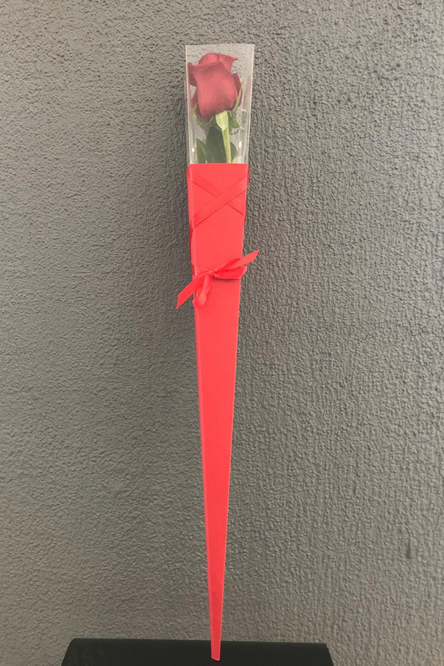 Single Stem Red Rose - Spring Hill Florist