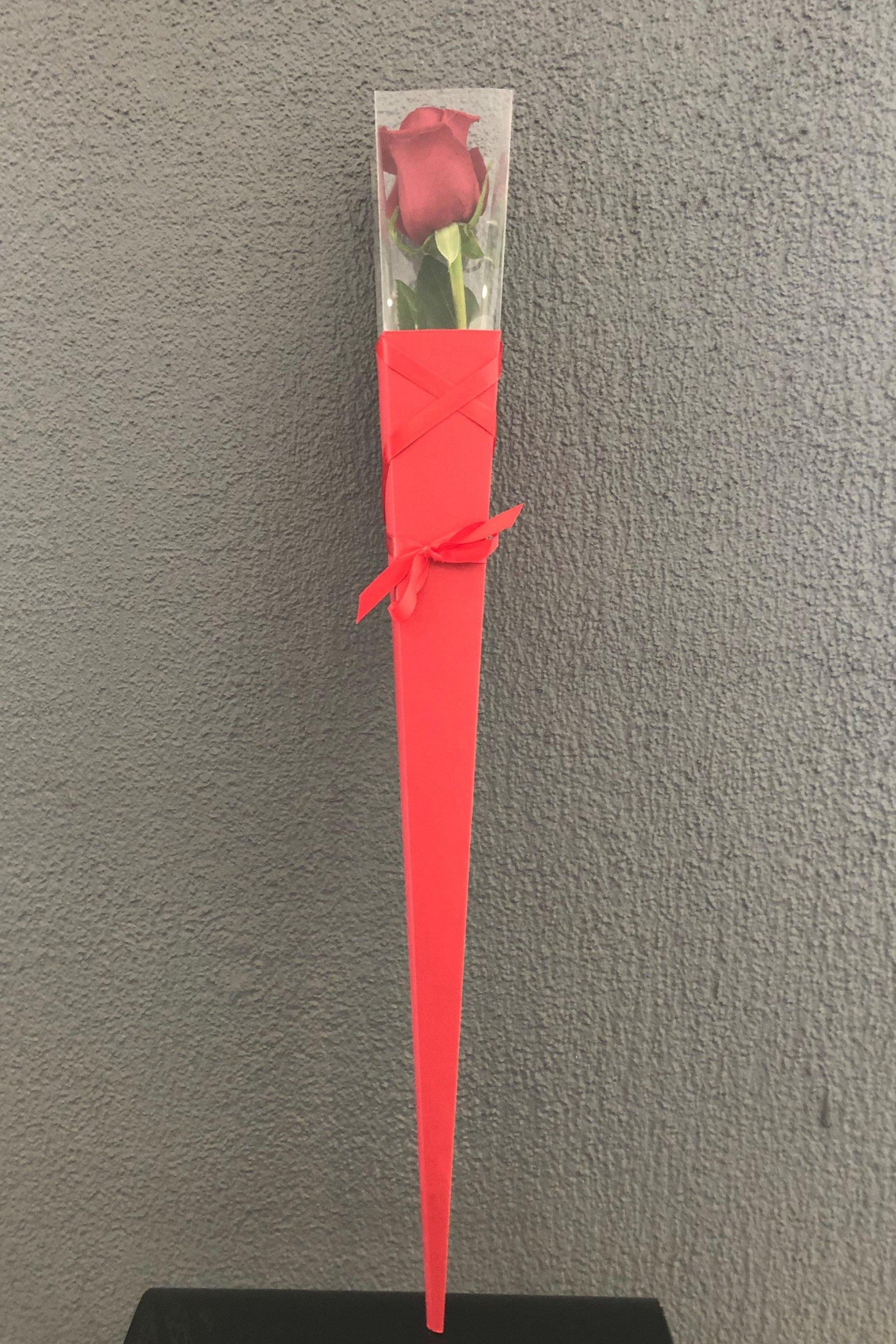 Single Stem Red Rose - Spring Hill Florist